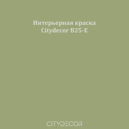 Краска Citydecor сатиновая для стен и потолков, оттенок B25-E (оливково-серый)