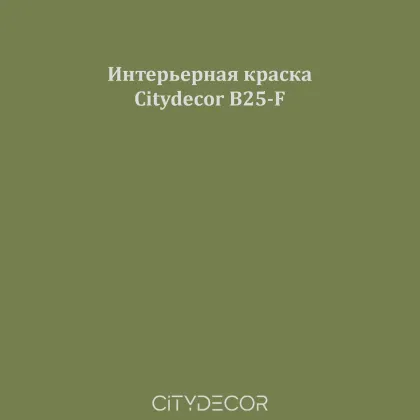 Краска Citydecor сатиновая для стен и потолков, оттенок B25-F (болотно-серый)