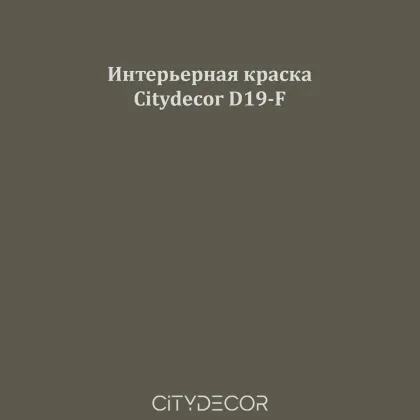 Краска Citydecor сатиновая для стен и потолков, оттенок D19-F (графитово-оливковый)