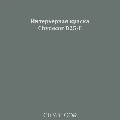 Краска Citydecor сатиновая для стен и потолков, оттенок D25-E (сланцево-зелёный)