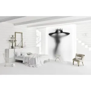 Фотообои на заказ по индивидуальному размеру Citydecor Силуэт