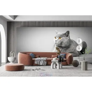 Фотообои на заказ по индивидуальному размеру Citydecor Животные и Птицы 28 Фотообои на заказ по индивидуальному размеру Citydecor Животные и Птицы 28