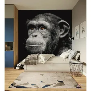 Фотообои на заказ по индивидуальному размеру Citydecor Животные и Птицы 5 Фотообои на заказ по индивидуальному размеру Citydecor Животные и Птицы 5