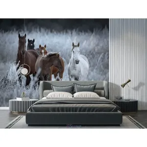 Фотообои на заказ по индивидуальному размеру Citydecor Животные и Птицы 53