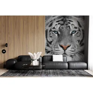 Фотообои на заказ по индивидуальному размеру Citydecor Животные и Птицы 55