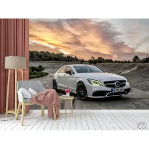 Фотообои на заказ по индивидуальному размеру Citydecor Транспорт 81