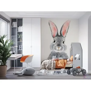 Фотообои на заказ по индивидуальному размеру Citydecor Детская 308