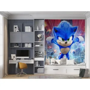 Фотообои на заказ по индивидуальному размеру Citydecor Детская Sonic 428