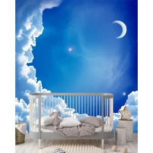 Фотообои на заказ по индивидуальному размеру Citydecor Детская 56