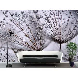 Фотообои на заказ по индивидуальному размеру Citydecor Цветы и Растения 101