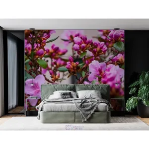 Фотообои на заказ по индивидуальному размеру Citydecor Цветы и Растения 204