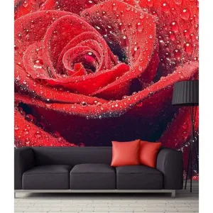 Фотообои на заказ по индивидуальному размеру Citydecor Красная роза