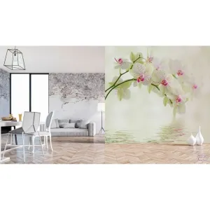 Фотообои на заказ по индивидуальному размеру Citydecor Цветы и Растения 34