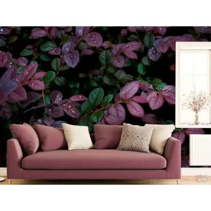 Фотообои на заказ по индивидуальному размеру Citydecor Роса 3D