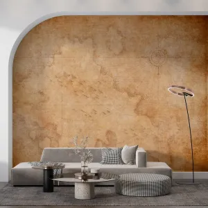 Фотообои на заказ по индивидуальному размеру Citydecor Карта мира 27