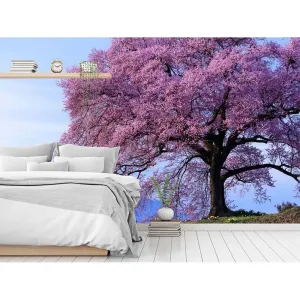 Фотообои на заказ по индивидуальному размеру Citydecor Природа 22