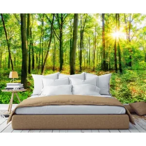 Фотообои на заказ по индивидуальному размеру Citydecor Солнечный лес