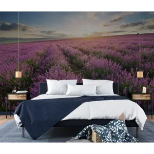 Фотообои на заказ по индивидуальному размеру Citydecor Лавандовое поле