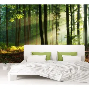 Фотообои на заказ по индивидуальному размеру Citydecor Природа 28