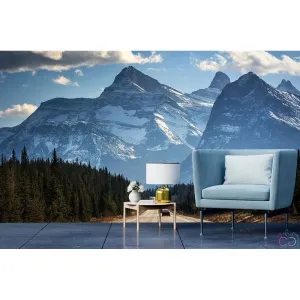 Фотообои на заказ по индивидуальному размеру Citydecor Природа 77