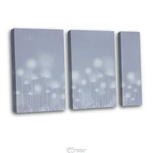 Дизайнерская модульная картина Citydecor Невесомость арт. 11.53 (3 модуля) 75x118 см