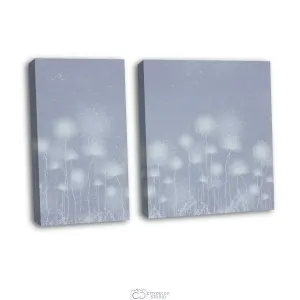 Дизайнерская модульная картина Citydecor Невесомость арт. 12.71 (2 модуля) 70x100 см
