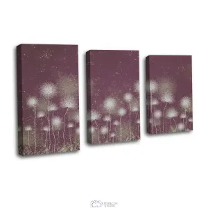 Дизайнерская модульная картина Citydecor Невесомость арт. 16.73 (3 модуля) 77x117 см
