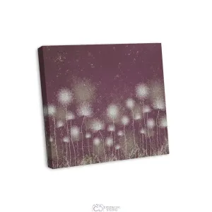 Дизайнерская модульная картина Citydecor Невесомость арт. 2.237 (1 модуль) 60x70 см