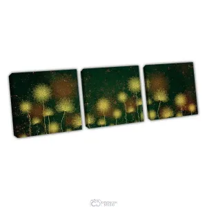 Дизайнерская модульная картина Citydecor Невесомость арт. 3.66 (3 модуля) 37x117 см