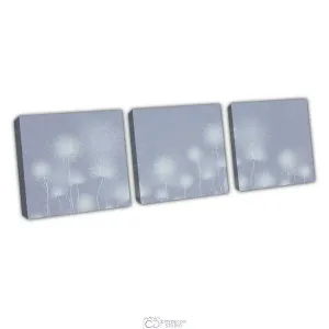 Дизайнерская модульная картина Citydecor Невесомость арт. 3.71 (3 модуля) 37x117 см