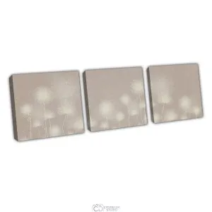 Дизайнерская модульная картина Citydecor Невесомость арт. 3.72 (3 модуля) 37x117 см