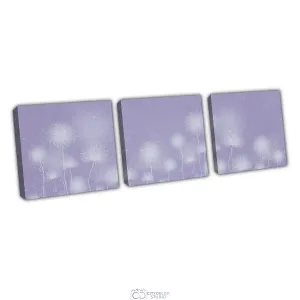 Дизайнерская модульная картина Citydecor Невесомость арт. 3.73 (3 модуля) 37x117 см