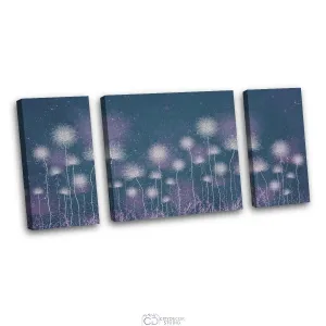 Дизайнерская модульная картина Citydecor Невесомость арт. 6.59 (3 модуля) 60x118 см