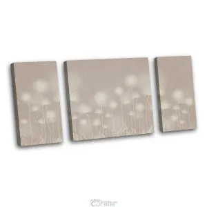 Дизайнерская модульная картина Citydecor Невесомость арт. 6.64 (3 модуля) 60x118 см