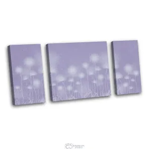 Дизайнерская модульная картина Citydecor Невесомость арт. 6.65 (3 модуля) 60x118 см