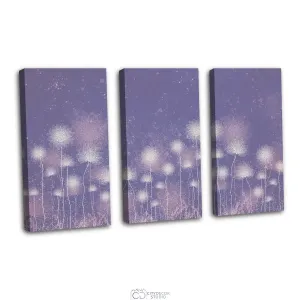 Дизайнерская модульная картина Citydecor Невесомость арт. 7.217 (3 модуля) 75x117 см