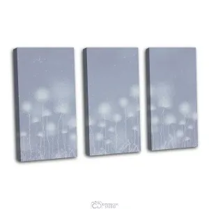 Дизайнерская модульная картина Citydecor Невесомость арт. 7.219 (3 модуля) 75x117 см