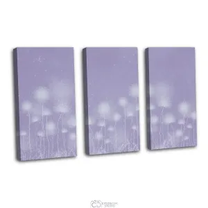 Дизайнерская модульная картина Citydecor Невесомость арт. 7.221 (3 модуля) 75x117 см