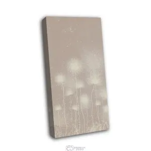 Дизайнерская модульная картина Citydecor Невесомость арт. 9.80 (1 модуль) 75x37 см