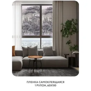 Самоклеящаяся пленка на окно, для мебели Biom 4 60x100 см