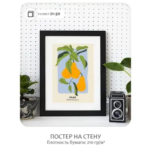 Постер Citydecor Фрукты арт. 3 (1 постер 21x30 см без рамы)