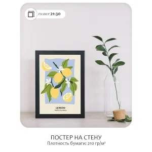 Постер Citydecor Фрукты арт. 5 (1 постер 21x30 см без рамы)