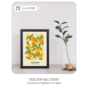 Постер Citydecor Фрукты арт. 6 (1 постер 21x30 см без рамы)
