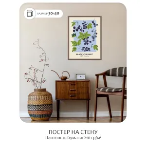 Постер Citydecor Фрукты арт. 10 (1 постер 30x40 см без рамы)