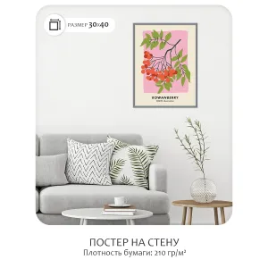 Постер Citydecor Фрукты арт. 4 (1 постер 30x40 см без рамы)