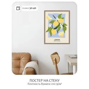 Постер Citydecor Фрукты арт. 5 (1 постер 30x40 см без рамы)