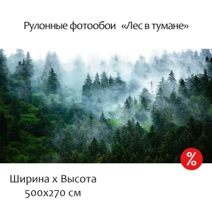 Фотообои рулонные Citydecor Лес в тумане на флизелиновой основе 500x270 см