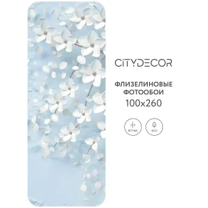 Фотообои рулонные Citydecor Абстракция 20 на флизелиновой основе 100x260 см