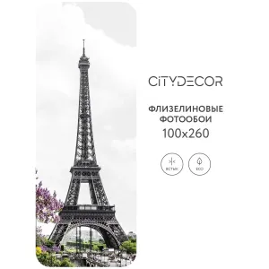Фотообои рулонные Citydecor Города и Архитектура 43 на флизелиновой основе 100x260 см