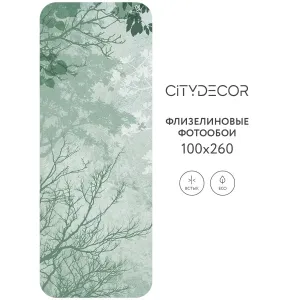 Дизайнерские фотообои рулонные Citydecor Dark Side 33 на флизелиновой основе 100x260 см